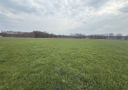 działka na sprzedaż - Pilchowice, Stanica