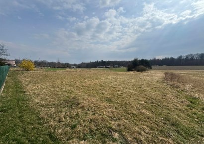 działka na sprzedaż - Czerwionka-Leszczyny (gw), Palowice