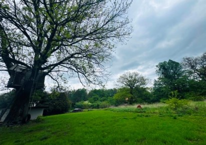 działka na sprzedaż - Knurów, Krywałd