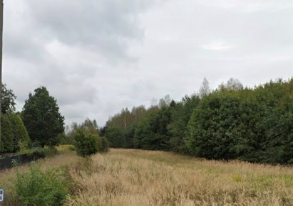 działka na sprzedaż - Pilchowice, Nieborowice
