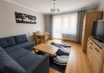 mieszkanie na wynajem - Knurów