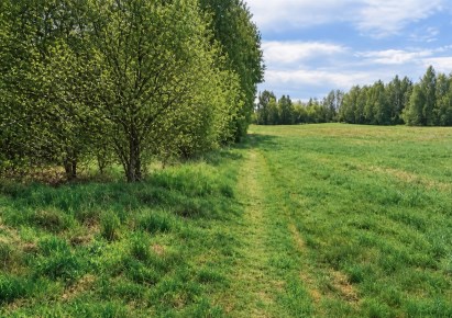 działka na sprzedaż - Ornontowice